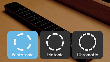 Select Your Scale: Diatonic, Pentatonic, and Chromatic Explained!